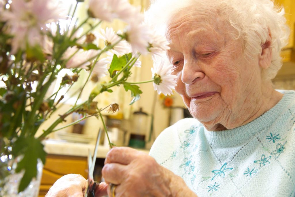 Elderly woman trimming flowers